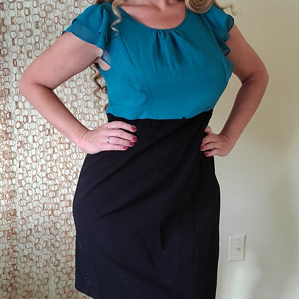 Alyx dress, flutter sleeve, sheath sz 12